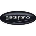 BlackForxx GmbH Versteigerung